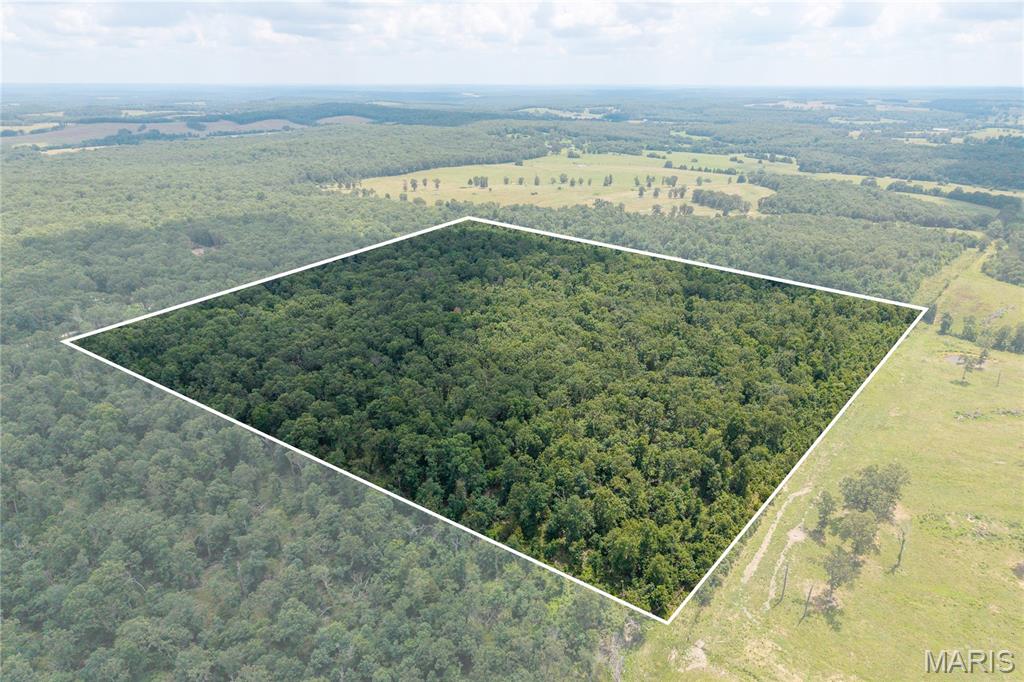 Escape to your own private 40-acre retreat where opportunity meets the outdoors. Whether you’re searching for a premier hunting property, the perfect location to build your dream home, or land with the potential to be cleared for farming or pasture, this property offers the flexibility to fit your vision. Abundant wildlife makes this an excellent hunting destination, while the acreage provides plenty of room for trails, recreation, livestock, or future development.
Properties offering this combination of acreage, utility access, and endless possibilities are becoming increasingly hard to find. Whether you’re looking to create a family homestead, weekend getaway, recreational retreat, or long-term investment, this property is ready for its next owner. Electric and fiber internet available at the road.