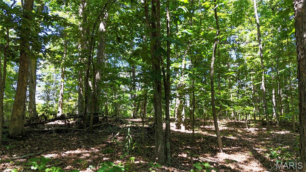 Antler Ridge Subdivision - Land