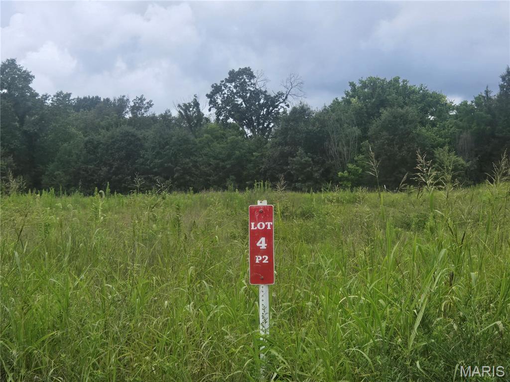 Wapiti Estates - Land