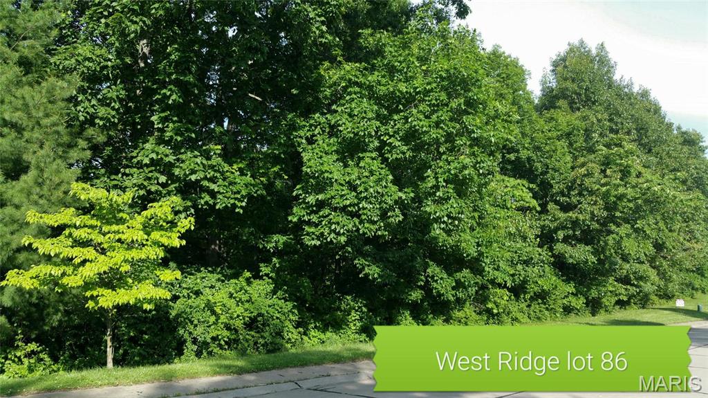 WEST RIDGE AT  THE PALISADES - Land