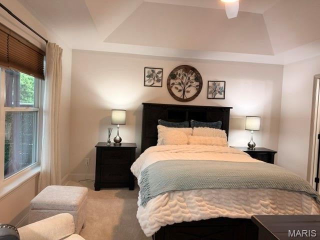 Stone Ridge Canyon #8 - Residential