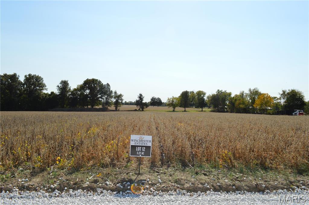 LOT 12 is 3.22 acres and is a north facing lot, backyard faces south. Trees on western and southern border of lot. Discover Winchester Estates, an exclusive subdivision in Wright City, MO, offering 12 stunning lots ranging from 3 to 3.22 acres. Nestled in unincorporated Warren County, this community combines country serenity with city convenience, located close to major highways and interstates. Each lot is perfect for building your custom home with a minimum of 2,100 square feet and features a required 25% brick or stone facade, enhancing both beauty and durability. Enjoy flexible living with side-entry 2-car min garages and optional 600+ square foot detached buildings. Chickens are welcome and boats/RVs can be stored behind homes or garages. This prime location provides quick access to shopping, dining, and entertainment, making it ideal for families and commuters. Don't miss the chance to be part of this exclusive community where tranquility meets accessibility. Additional Info: In Platted Subdv.