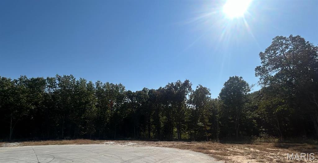 Gorgeous setting in The Estates at Schaper Farms! This 3.11-acre walk-out lot on a cul-de-sac offers the perfect balance of open space for your dream home. Nestled by trees and natural beauty for a peaceful retreat. Enjoy the charm of country living with the convenience of nearby dining, shopping, highways and city maintained streets. Bring your own floor plans, use one of our current floor plans, or work with our architect to design a custom home. This is a stunning lot ready for your vision! Additional Rooms: In Platted Subdv.
