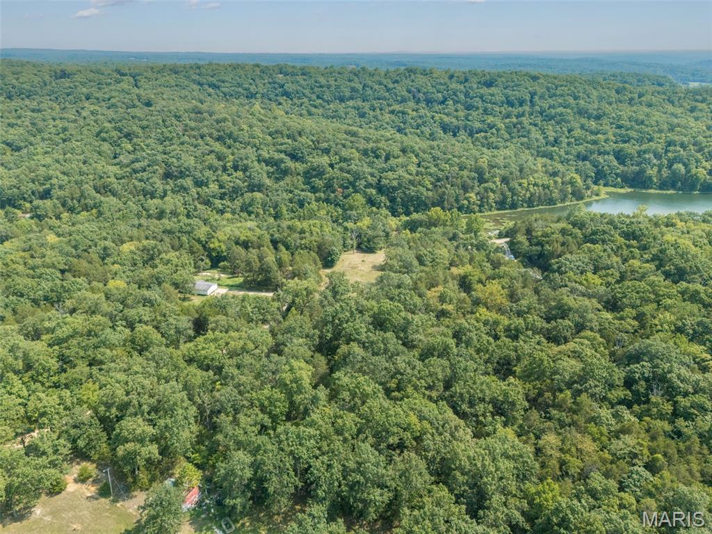 Big Woods - Land