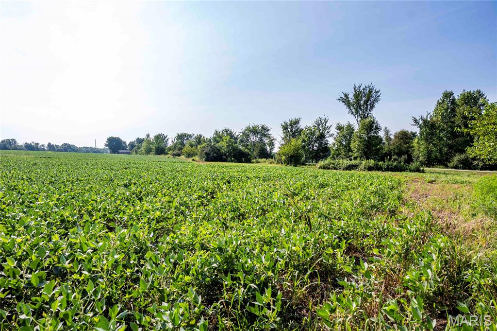 N/A - Farm