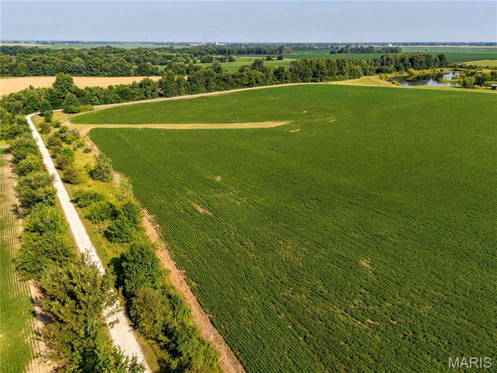 N/A - Farm