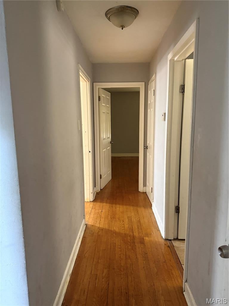 Olive Street Terrace - Residential
