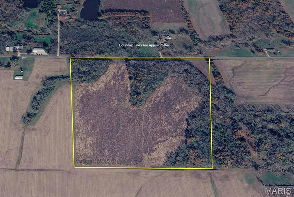 Opportunity awaits with this 38.65 +/- acre tract offering a great mix of income producing farmland and recreational appeal.  Approximately 21.26 acres are currently tillable and leased at $225 per acre, providing immediate return on investment.  The remaining acreage features beautiful wooded ground with a creek running through, creating the perfect setting for wildlife habitat and outdoor enjoyment.  With frequent deer activity, this property is ideal for hunters, investors, or those looking to build and enjoy country living.  A well-rounded piece of land with both income and recreational potential!  T&W Family Farms are currently farming it for the 2026 year.