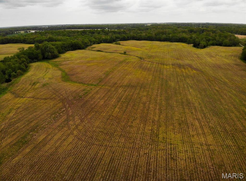 Salem Township - Farm