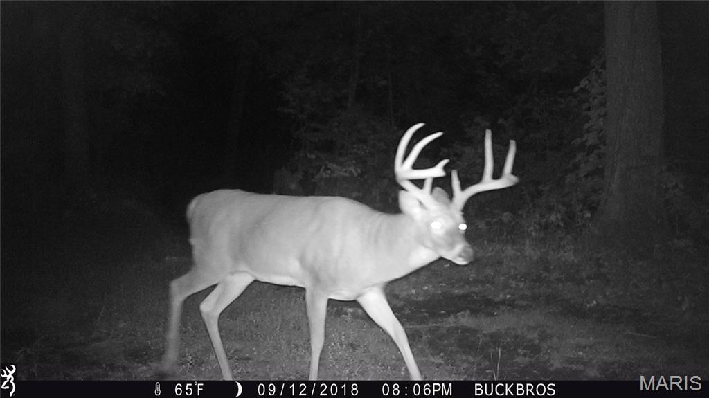 none - Land