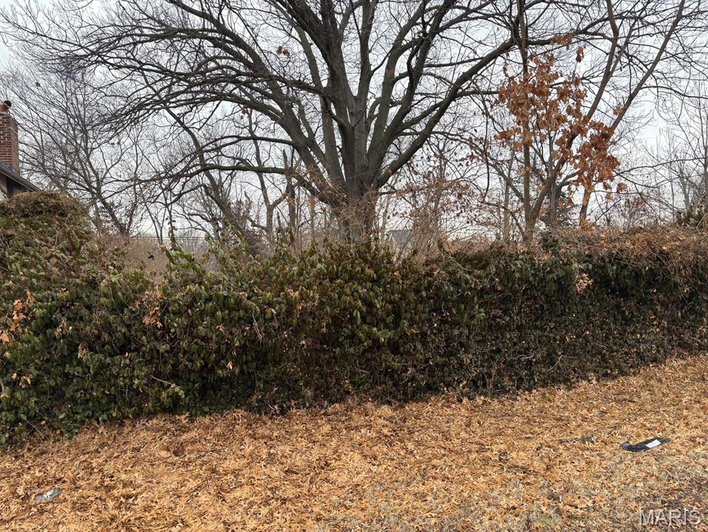 Elmwood Park - Land