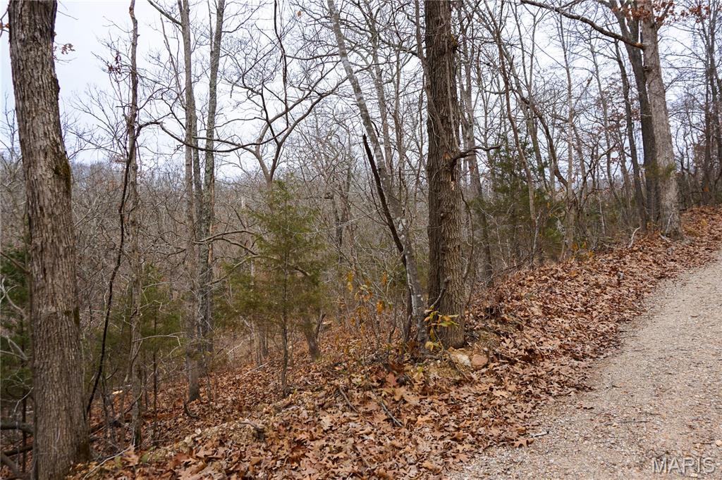 This expansive 19.87 m/l acre tract offers endless possibilities. Ideal for building a private home, setting up a hobby farm, or enjoying a peaceful rural retreat, the property provides plenty of space and privacy. With room to roam and explore, it’s a perfect opportunity to create your own slice of the countryside near Dixon, MO.
