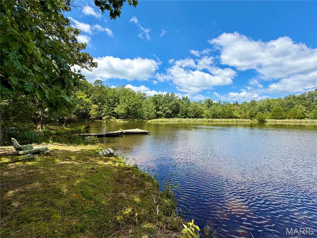 160 ACRES +- of beautiful property ready for you to enjoy as a farm, recreational or homestead!  Lots of wildlife and a wonderful 2 +- ACRE pond!  There is no well, septic or power run to the campsite.  There is a 1948 trailer on site that was used for camping and an outhouse too!  Build your trails, put up your deer stands, bring your toys and fishing poles!  Or turn it into a working farm if that suits you!