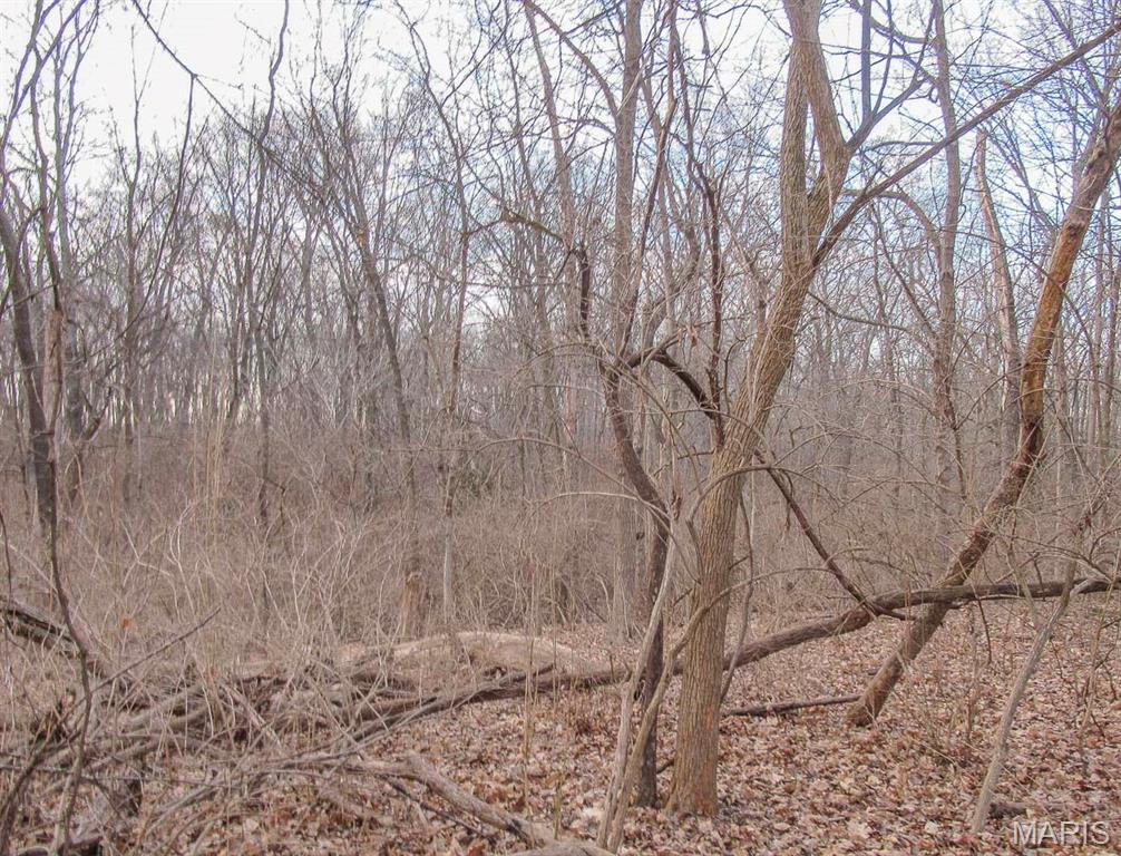 Not in a subdivision - Land