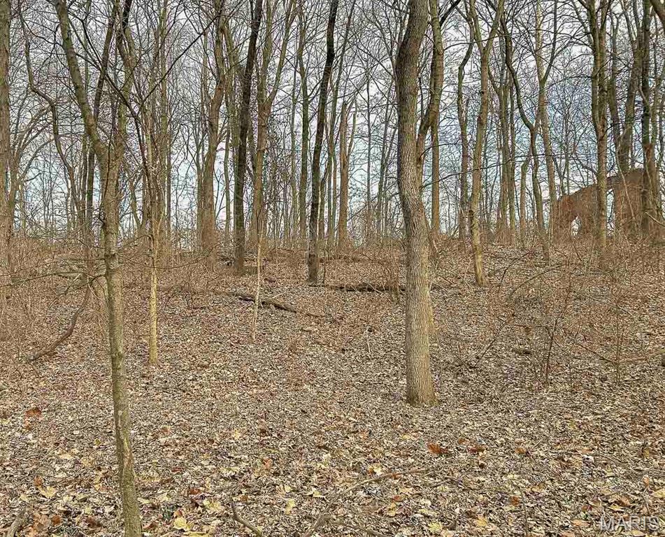 Not in a subdivision - Land