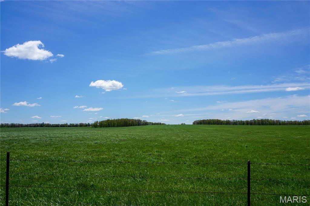 None - Farm