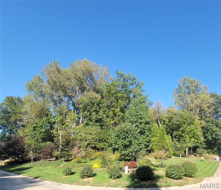 Bluff Woods Estates - Residential