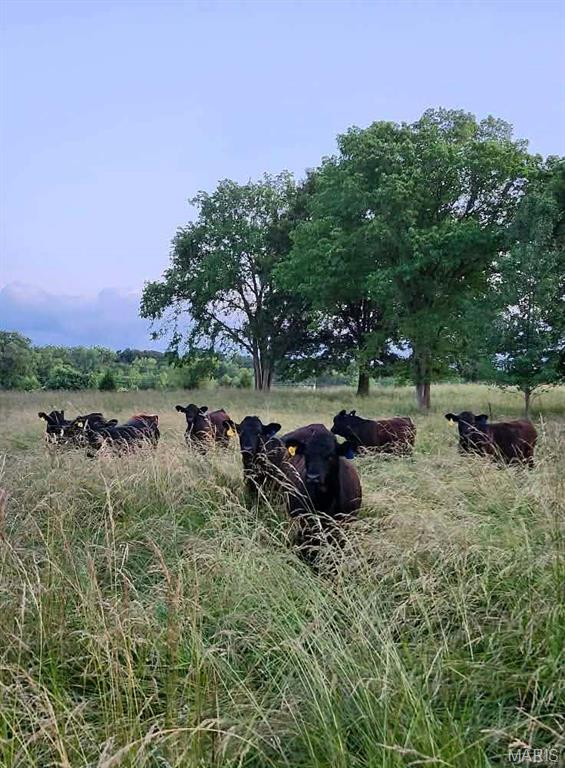 Arrow A - Farm
