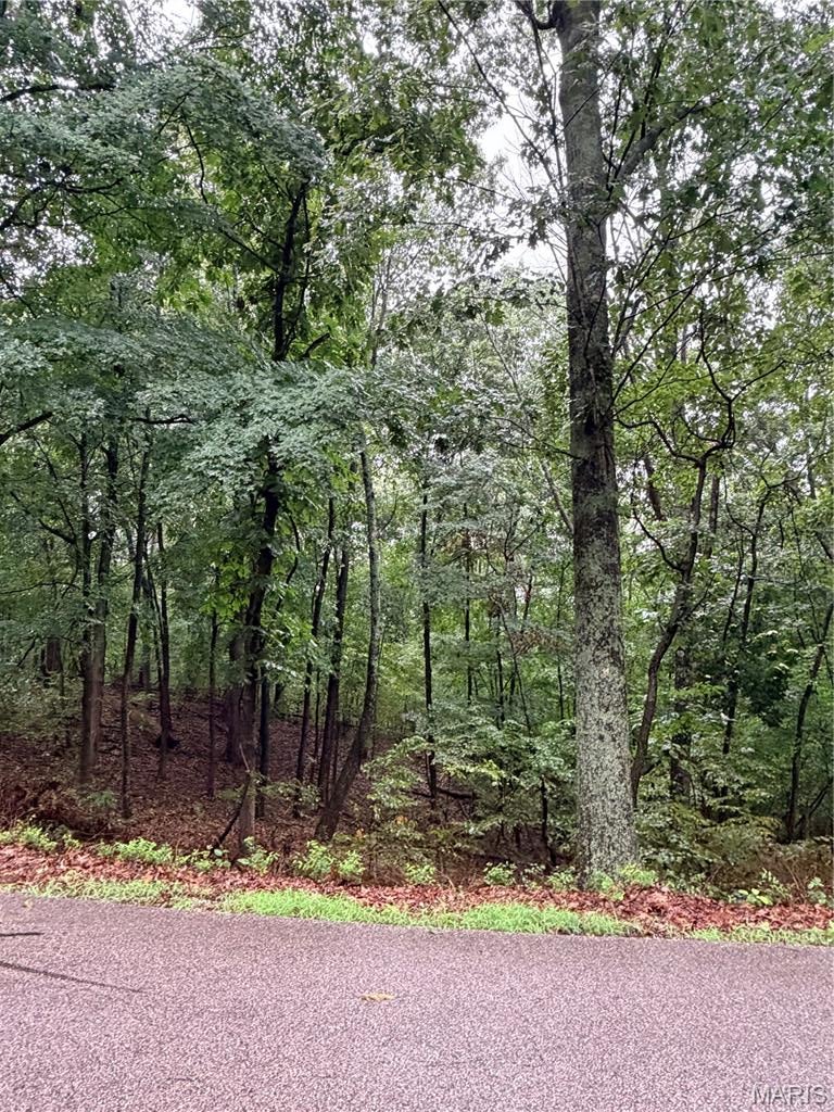 Bluffs/Hoene Spgs - Land