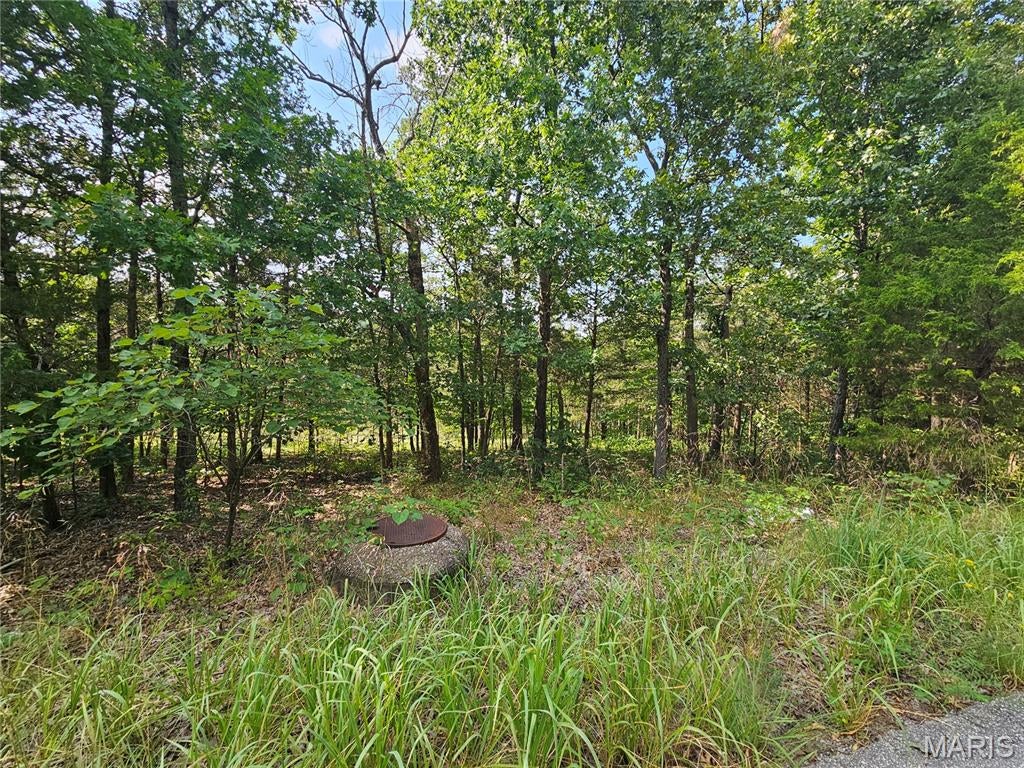 Raintree Plantation Sec 24 - Land