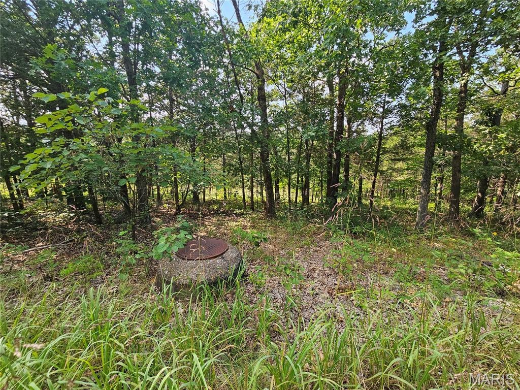 Raintree Plantation Sec 24 - Land