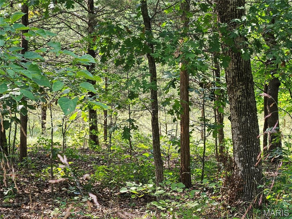 Raintree Plantation Sec 24 - Land