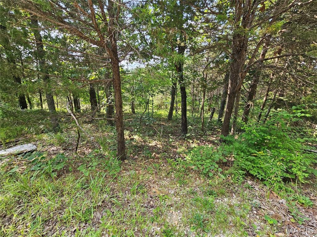 Raintree Plantation Sec 24 - Land