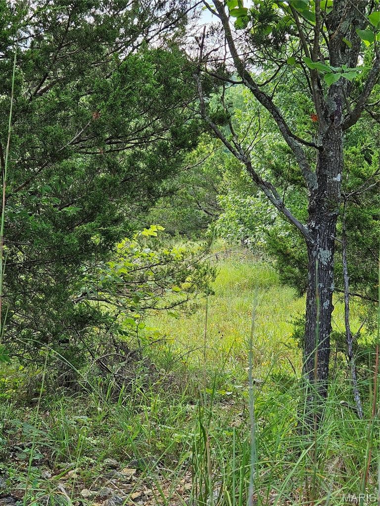 Raintree Plantation Sec 24 - Land