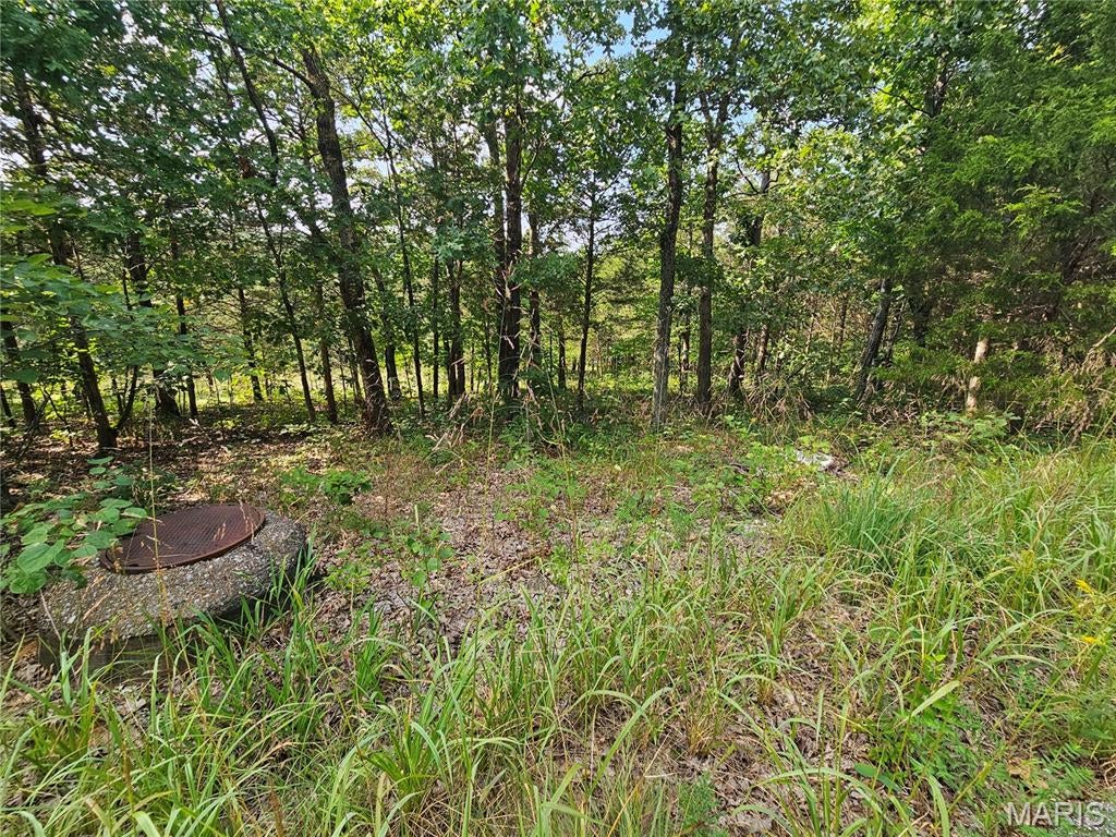 Raintree Plantation Sec 24 - Land