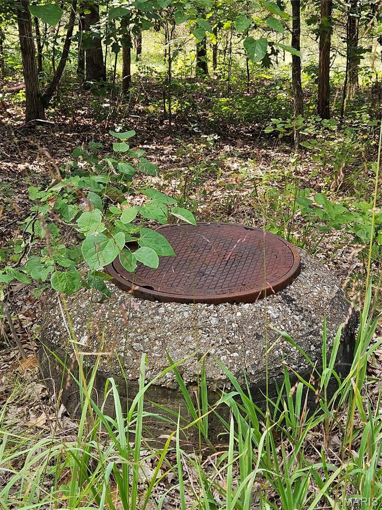 Raintree Plantation Sec 24 - Land