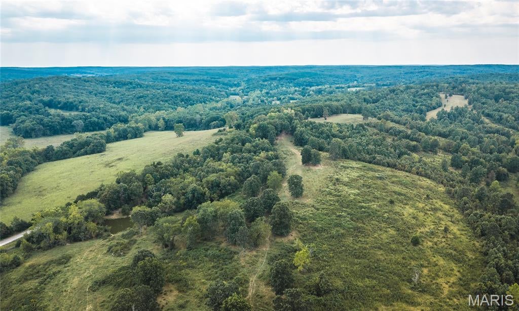 94 +/- acres in the beautiful Missouri Ozarks near Salem, offering an exceptional opportunity to own a versatile tract of land with a combination of open ground, wooded cover, rolling terrain, and a pond. Whether you’re looking for a working farm, recreational property, hunting ground, or a private place to build your future, this property offers the space and natural setting to make it your own. MLS # 26054427 can be offered with it.

The property features gently rolling to more varied Ozark terrain, creating a scenic landscape with multiple potential uses. The combination of open areas and timber provides excellent habitat for wildlife and creates opportunities for deer and turkey hunting, recreational trails, livestock, and enjoying the outdoors. A pond adds to the property’s appeal and provides an attractive water source for wildlife and recreation. With road frontage and convenient access, the property offers flexibility for a future homesite, farm operation, recreational retreat, or investment. There are no existing buildings or major improvements, allowing the next owner a clean slate to develop the property according to their own vision. Located just outside Salem, Missouri, in the heart of Dent County, this property puts you close to some of the area’s most sought-after outdoor destinations, including Indian Trial Park, Montauk State Park, the Current River, and Mark Twain National Forest. From hunting and fishing to horseback riding, hiking, farming, and simply enjoying the quiet of the country, the recreational opportunities are abundant.