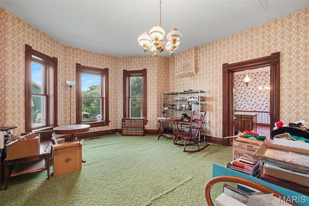 Schneiders - Residential