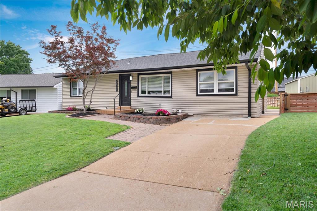 Terry - Residential