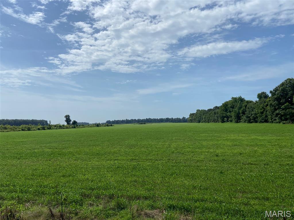 Productive 55-acre Tillable Tract in Stoddard County, MO
Located in Stoddard County, just north of Essex, conveniently located in Southeast Missouri's prime farming region, this 55 +/- acre row crop property with 52 +/- acres tillable is ideal for farmers looking to expand acreage or investors seeking quality tillable ground.
Comprised entirely of Amagon Silt Loam soils, the property has a well and surface irrigation available.  The tract is very accessible with over 800 feet of frontage on State Highway AB.  The property is currently planted in soybeans following a good stand of wheat that was harvested in June.  A tenant is in place if someone chooses to continue to cash rent the property.  
Productive farmland in this area does not change hands often and this tract would be a great addition to any farming operation.
Call Land Agent Dane Werner today for a showing or more information.

Property Features
• 55 +/- acres in Stoddard County, MO
• 52 +/- acres tillable
• Located in a prime farming region of Southeast Missouri
• Steady income producing property
• Well and surface irrigation in place
• Road frontage on State Highway AB for easy access
• Hunting potential with tree lines and waterway acting as travel corridors
• Taxes: $180
• 6 miles north of Essex, MO
• 13 miles to Dexter, MO
• 13 miles to Sikeston, MO