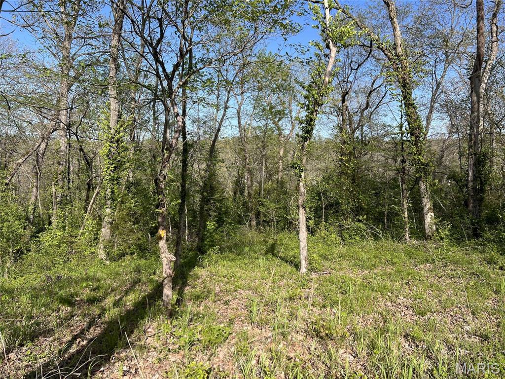 Build your private retreat on this wooded 3-acre parcel at the edge of Zoar Ridge Estates, positioned to capture sweeping views of the valley and distant rolling hills. The property features a level building area on the eastern portion—perfectly suited for a walkout atrium design that would showcase the natural vista beyond.

Underground electric service (25 KVA transformer) and connection to the subdivision's shared well system are already on the property, ready for your construction. A utility easement runs along the western boundary, leaving the prime building area undisturbed.

Zoar Ridge Estates offers the best of rural living with subdivision conveniences: private roads with streetlights, a shared well system, and thoughtful covenants protecting your investment. Minimum home sizes are 1,800 square feet for ranch-style and 2,300 square feet for two-story construction. No manufactured or earth-contact homes. Outbuildings permitted with trustee approval. Choose your own builder.

Situated along Highway J south of Troy, this location puts you within easy reach of Lincoln County amenities while surrounding you with the peace of the Missouri countryside. Deer and wildlife are frequent visitors to this wooded setting.