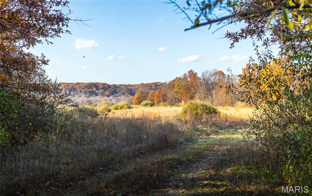 Not in a subdivision - Farm
