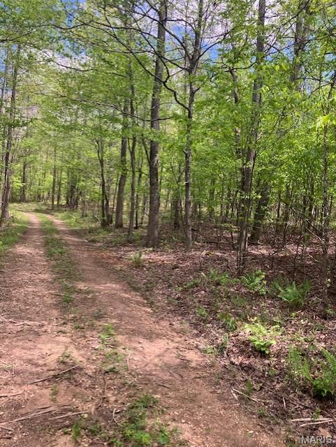 This 8.794 acres would make a great Ozark hideaway for less than the price of a new crossover or truck. It has a deeded easement road along one side and sits within about a mile of Mark Twain National Forest. 
This affordable wooded oasis comes with NO restrictions.
Hunt, camp, build, ride ATVs on your own land, or explore the nearby national forest
This property is wooded (with a great stand of pines and hardwoods) and rolling. You are within a mile of the 22,176-acre Mark Twain National Forest ... public ground where you can also hunt, ride and explore. All this, and only about 2 miles by road from U.S. 67.
Use this wooded, secluded property as a base camp for adventure. This and surrounding land is teeming with deer, turkey and small game, and the occasional feral hog or maybe a black bear.
There is additional acres available which adjoin this piece if interested.