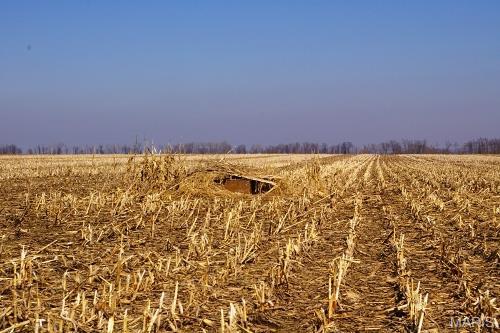 99 acres Mississippi River Bottom Farm, Elsberry Lincoln County, MO.  84 acres tillable, 15 acres wooded, two duck blinds, adjacent to Kings Lake Slough, 1/2 mile west of BK Leach Memorial Conservation Area.  Great Duck Hunting Potential.