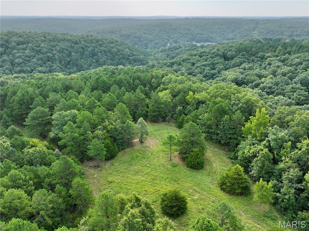 33.62 acres bordering Montauk State Park in one of Missouri’s most sought-after outdoor destinations! This exceptional tract offers over 850 feet of ridgetop boundary with the park, providing a rare combination of privacy, recreation, and location. From the ridge, enjoy beautiful views overlooking an open meadow surrounded by a diverse mix of mature timber. The established clearing and pond create an ideal setup for food plots and wildlife habitat while also offering an attractive potential build site for a cabin, home, or weekend retreat.

Access is provided by a private road with an electric gate at the entrance off the county road, adding privacy and security. Power and water are available, giving you a head start toward developing the property. With 33.62 acres, a pond, open ground, timber, and direct park boundary, this tract offers excellent potential for hunting and year-round recreation.

The Current River public access is approximately 500 yards away, while Montauk Lodge and the park’s renowned spring-fed trout waters are less than 2 miles from the property. Enjoy quick access to trout fishing, floating, hiking, and everything the Montauk area has to offer. Whether you’re looking for a hunting property, recreational retreat, future homesite, or investment near Montauk, this one deserves a look. Additional adjoining acreage is available upon request.