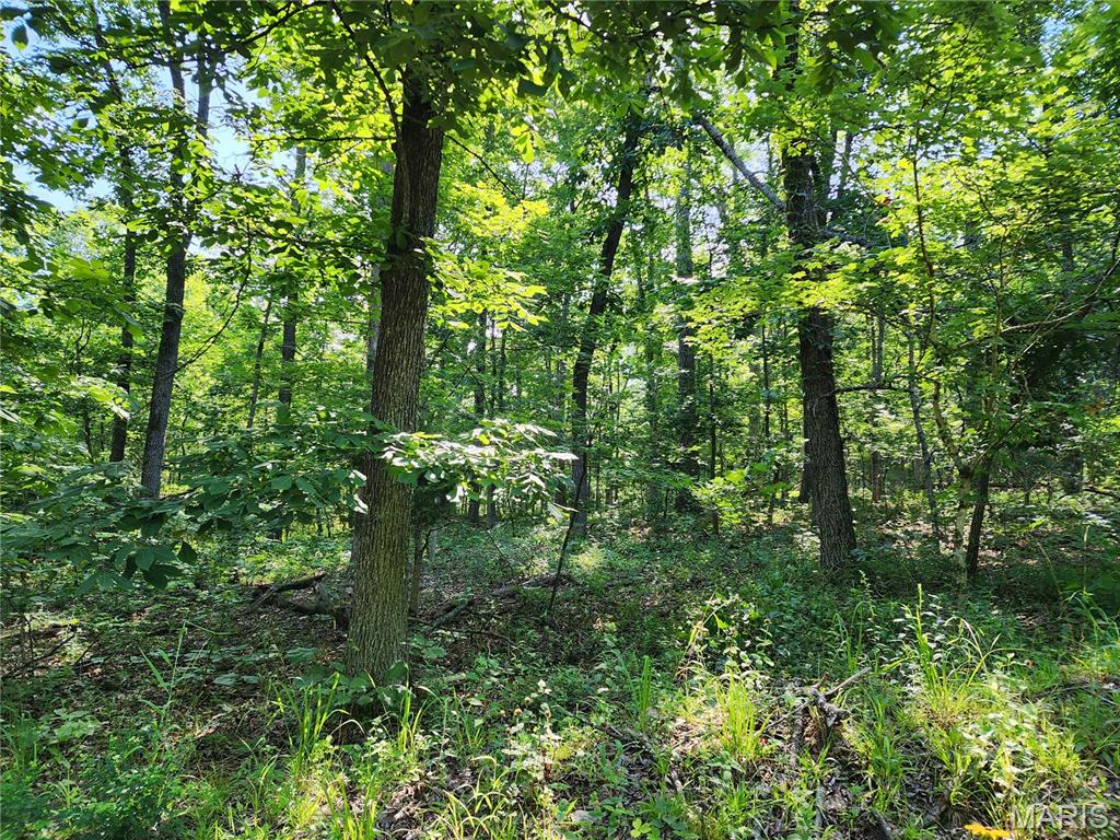 Black River Retreat #3 - Land