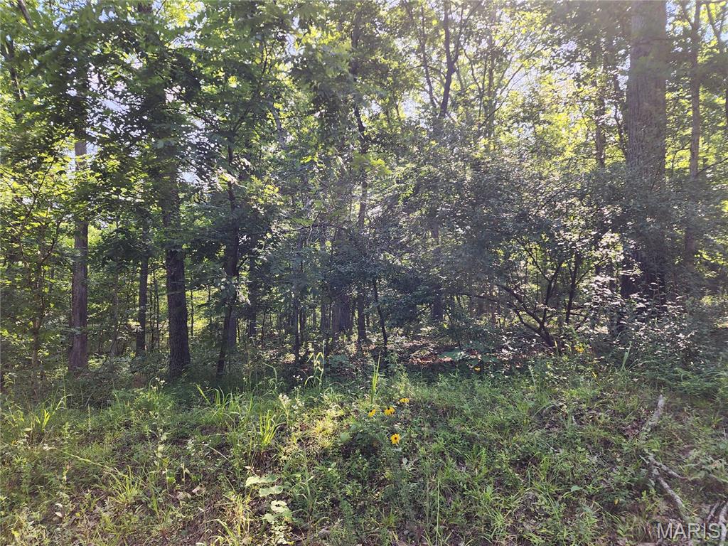 Black River Retreat #3 - Land
