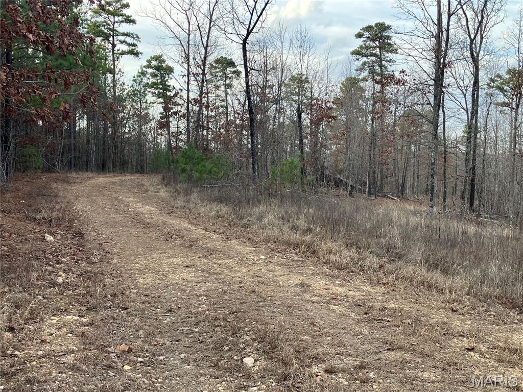 Wooded rural acreage with gravel road access and electricity along one boundary .. it doesn't get much better. But what if it was close to Mark Twain National Forest and provided access to spring-fed 12-Mile Creek ... a landowner's dream come true. 
This small affordable Ozark oasis comes with NO restrictions. 
Hunt, camp, build, ride ATVs, and fish or play in the water, too. The opportunities are endless.
This property is wooded and rolling. You are less than a mile from the 22,176-acre Mark Twain National Forest ... public ground where you can hunt, ride and explore. Yet you're only about 1.5 miles by road from U.S. 67 for quick and easy access.
Use this affordable more than 7 acres as a base camp for adventure. This and surrounding acreage is teeming with deer, turkey and small game. Owning it affords you access to a 3-acre shared stretch of 12 Mile Creek and gravel bar.
This piece will sell fast, so call today and line up a time to take a look.