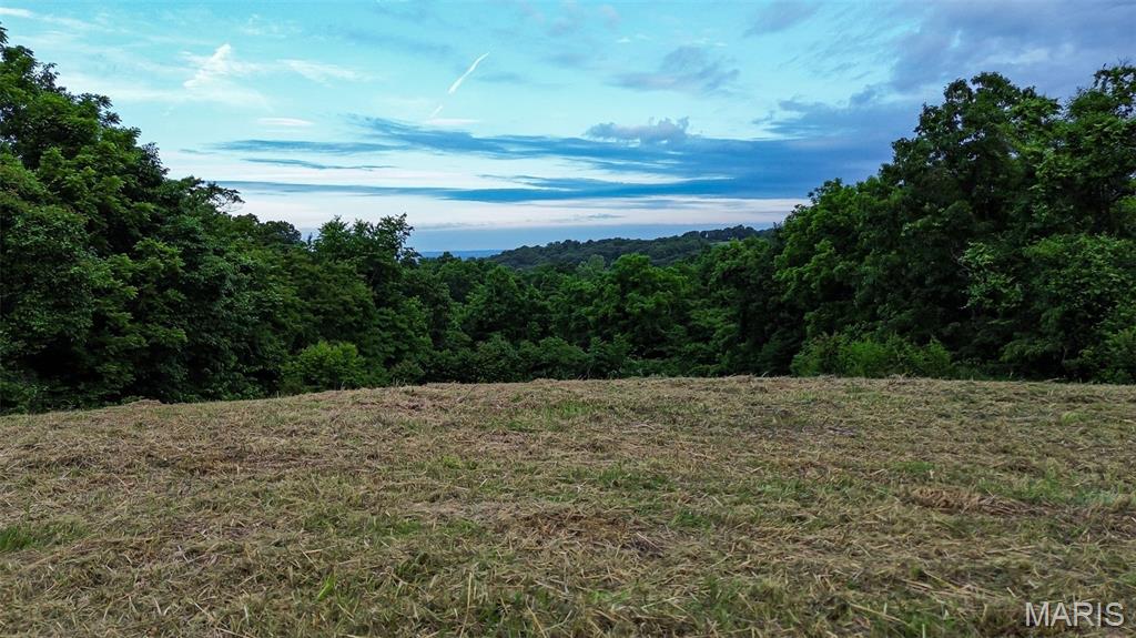 Overlooking the Mississippi River valley is a 4.36 acre home site that could be yours! This ridge offers the right spot to enjoy the most magnifisnt sunsets around. Bring your vision and check out where your walk-out basement and back deck could be this time next year! Electric and public water are available along the roadway.