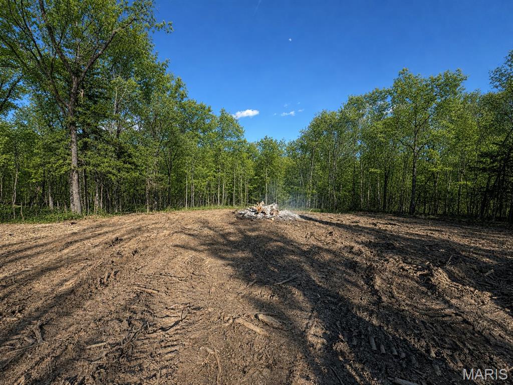 Discover the perfect setting for your future home on this beautiful 3.54-acre private, wooded lot. This homesite has already been cleared while plenty of mature trees remain, offering the privacy and natural surroundings buyers are looking for without starting from scratch. This property is ready for your vision and provides ample space to create a custom home that takes full advantage of the peaceful setting. Buyers must build with Arne Homes, allowing you to work with an experienced local custom builder to design a home that fits your needs and lifestyle. Bring your ideas and start planning your new home today! A proposed TBB home is listed under MLS #26049251