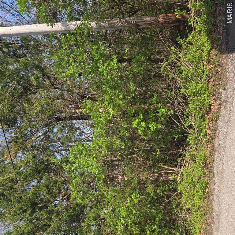 Explore Lots 9 and 10 in Four Ridge Estates on Pogue Road. This fantastic lot is ready for your creative ideas! Lots are in their natural state.