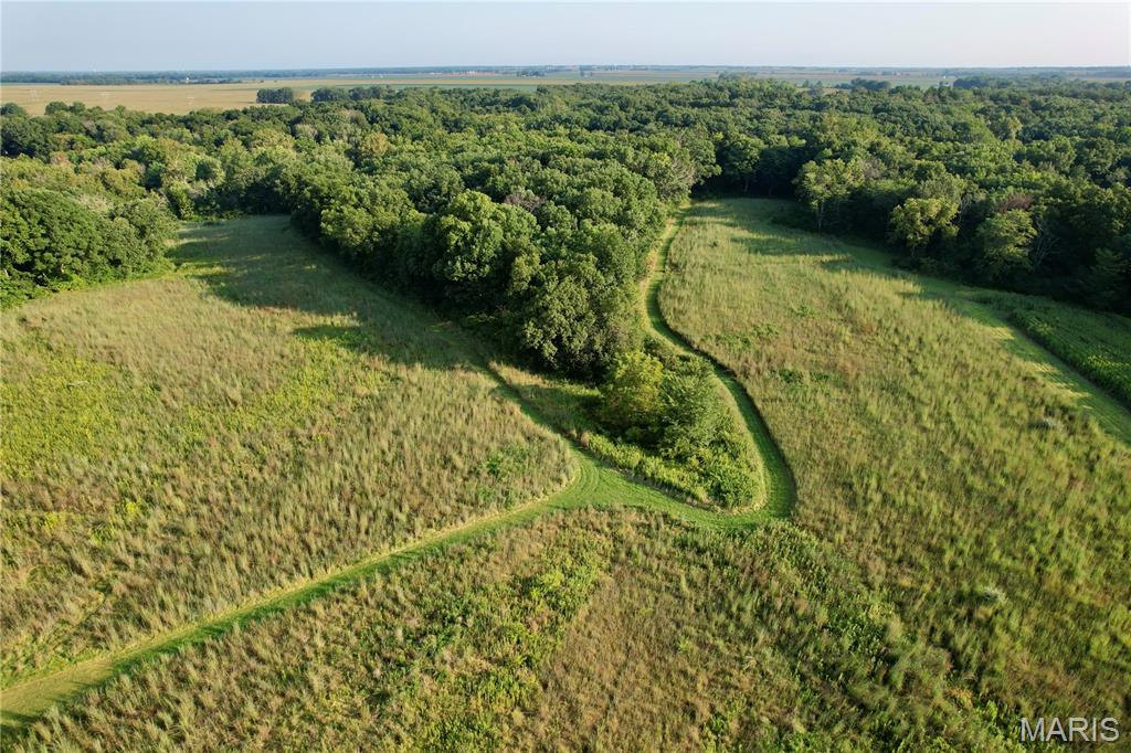 67+/- Acres | Shelby County, Illinois | Premier Whitetail & Recreational Property

This 67+/- acre Shelby County, Illinois property is the kind of farm that serious whitetail hunters dream about. Beautiful rolling terrain, deep draws, mature timber, native grass, established clover strips, and a stonebed creek create an exceptional combination of habitat and natural travel corridors that give this farm tremendous potential to become a top-producing trophy whitetail property.

Approximately 12 acres are tillable, providing an opportunity for annual income while also offering strategically located food sources for wildlife. An additional 24 acres features a beautiful, mature native grass stand, creating outstanding bedding and nesting habitat. Maintained clover strips throughout the property add additional diversity and provide valuable forage for deer.

The timber is equally impressive, featuring large mature White Oak and Black Walnut trees scattered throughout the property. The rolling hills and deep draws create natural funnels, bedding areas, and travel corridors, while the stonebed creek provides an additional water source and natural feature running through the landscape.

One of the biggest advantages of this property is its location. The farm sits near Hidden Springs State Forest, providing access to nearly 1,000 acres of Illinois public hunting ground nearby and adding even more recreational opportunity to an already exceptional private hunting tract.

This is a known big-buck area, and the combination of quality habitat, mature timber, native grasses, clover, tillable acreage, and surrounding public ground gives this property tremendous upside for the serious whitetail enthusiast. With thoughtful habitat management and strategic food plot placement, there is a real opportunity to turn this farm into a premier Southern/Central Illinois trophy deer destination.

Whether you're looking for a private hunting retreat, a recreational investment, a farm with income-producing acreage, or the opportunity to build a true trophy whitetail property, this 67+/- acre tract deserves a serious look.
Beautiful land. Excellent habitat. Income potential. Big-buck country. Properties like this don't come along often.