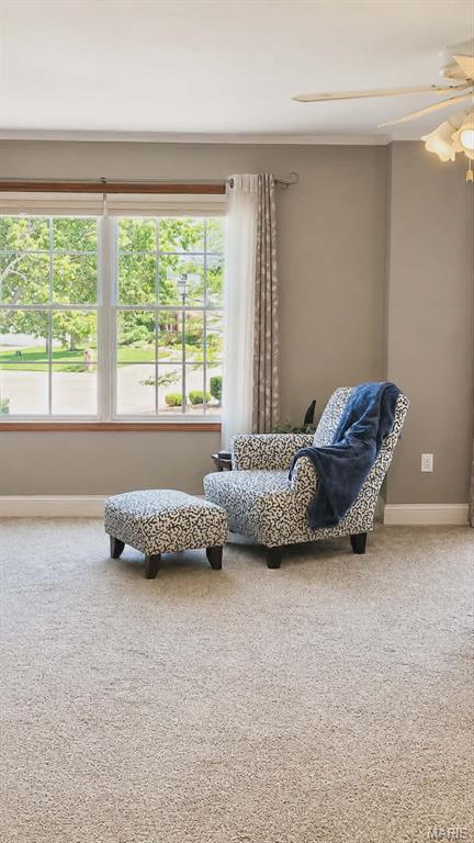 Vlgs At Bainbridge Lakeshire Village - Residential