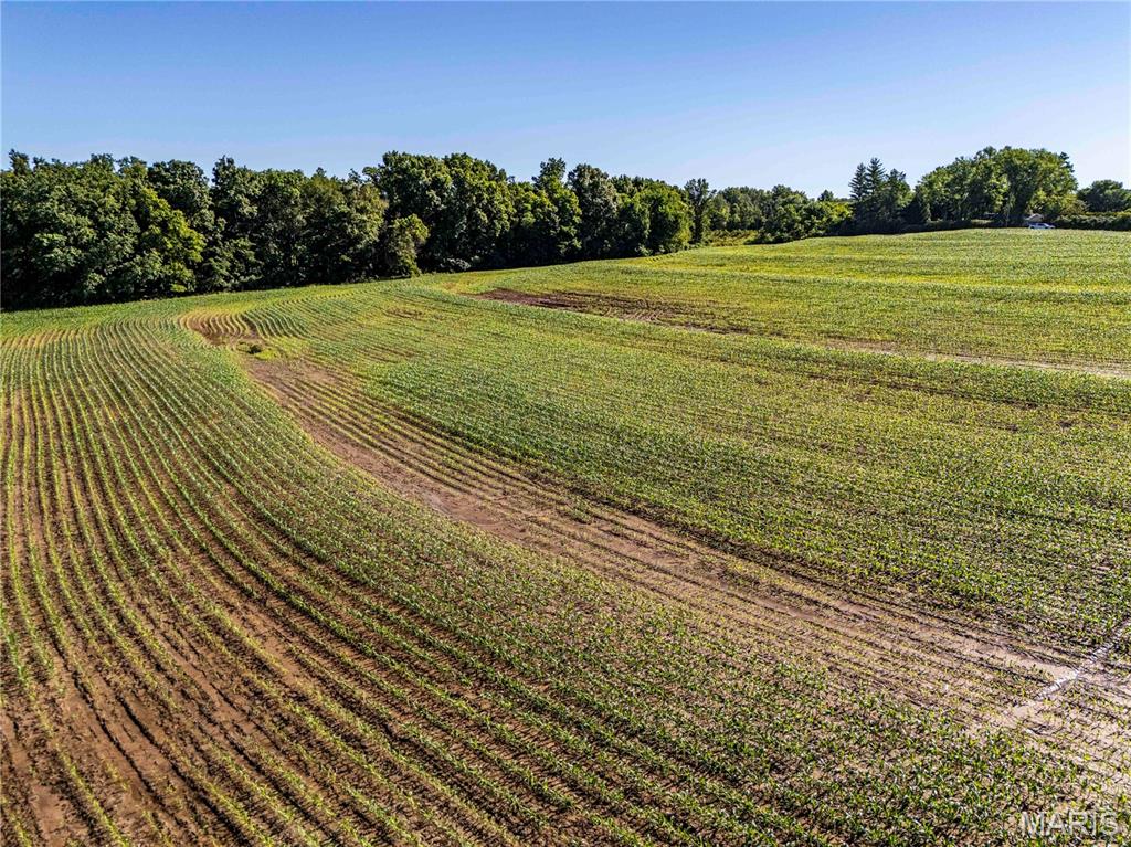N/A - Farm