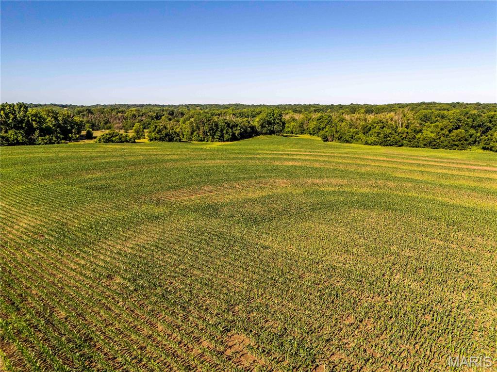 N/A - Farm