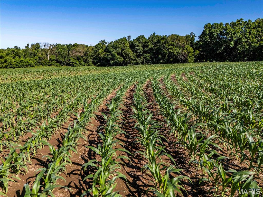 N/A - Farm